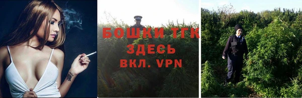 тгк Горно-Алтайск