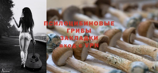спиды Горнозаводск