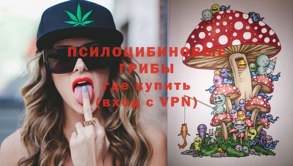 спиды Горнозаводск