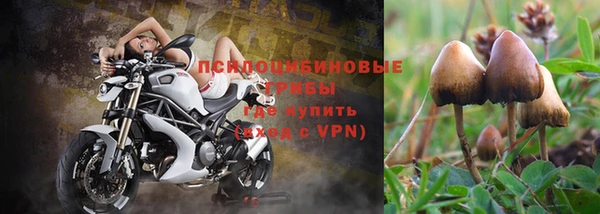 спиды Горнозаводск
