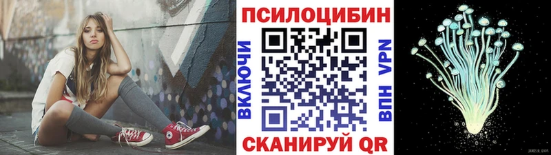 сколько стоит  Светлый  KRAKEN ССЫЛКА  Псилоцибиновые грибы прущие грибы 